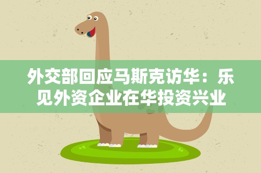 外交部回应马斯克访华：乐见外资企业在华投资兴业