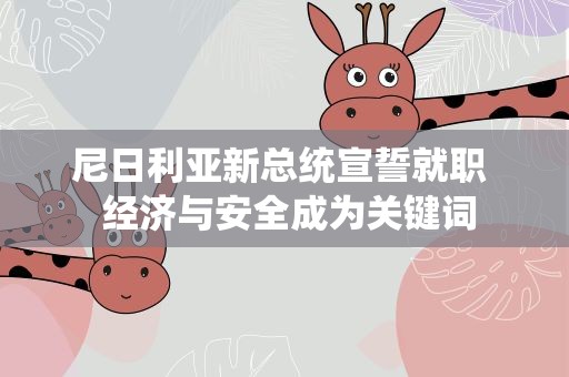 尼日利亚新总统宣誓就职  经济与安全成为关键词
