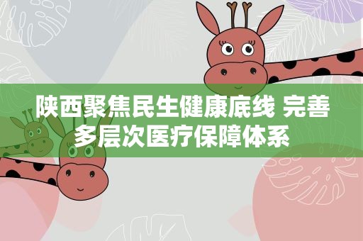 陕西聚焦民生健康底线 完善多层次医疗保障体系