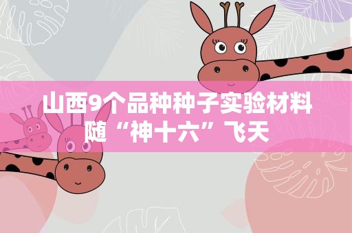 山西9个品种种子实验材料随“神十六”飞天