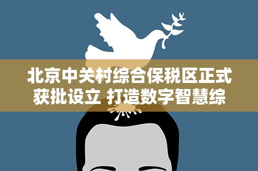北京中关村综合保税区正式获批设立 打造数字智慧综保区