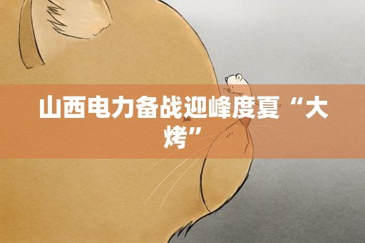 山西电力备战迎峰度夏“大烤”