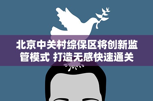 北京中关村综保区将创新监管模式 打造无感快速通关模式