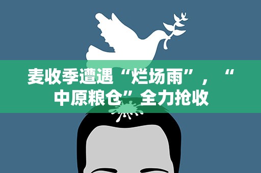 麦收季遭遇“烂场雨”，“中原粮仓”全力抢收