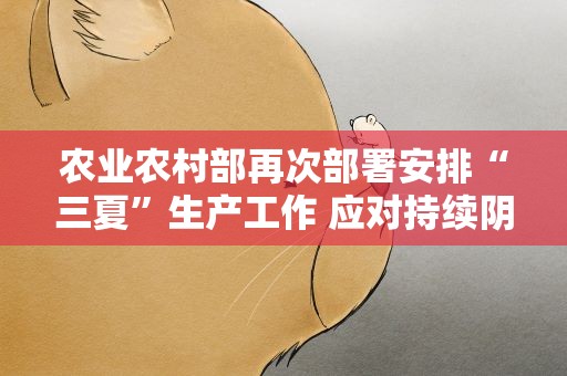 农业农村部再次部署安排“三夏”生产工作 应对持续阴雨天气及时抓好小麦抢收烘干晾晒