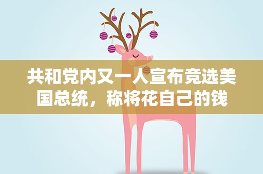 共和党内又一人宣布竞选美国总统，称将花自己的钱