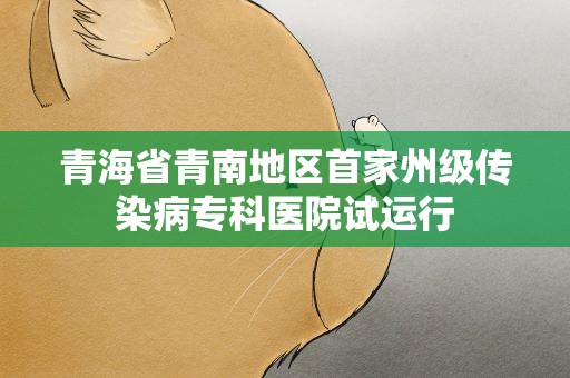 青海省青南地区首家州级传染病专科医院试运行