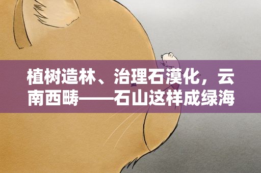 植树造林、治理石漠化，云南西畴——石山这样成绿海