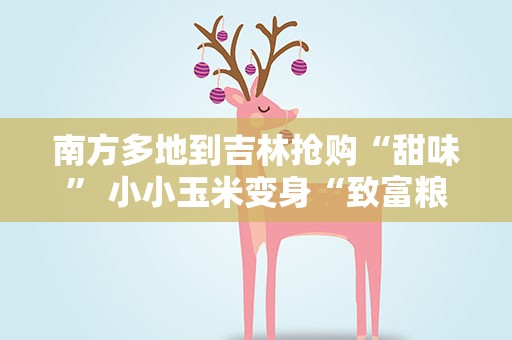 南方多地到吉林抢购“甜味” 小小玉米变身“致富粮”