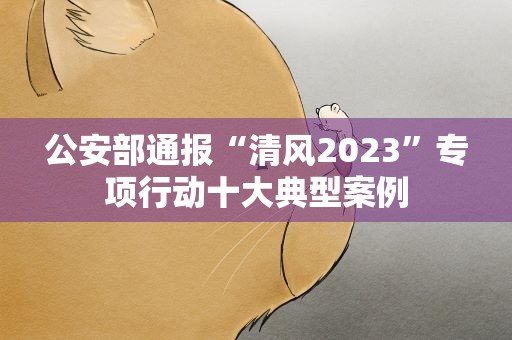 公安部通报“清风2023”专项行动十大典型案例