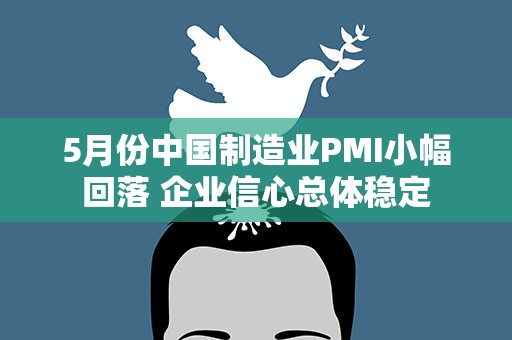 5月份中国制造业PMI小幅回落 企业信心总体稳定