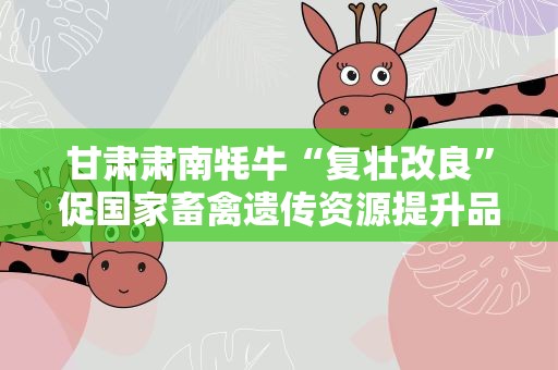 甘肃肃南牦牛“复壮改良”促国家畜禽遗传资源提升品质