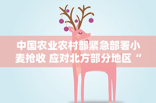 中国农业农村部紧急部署小麦抢收 应对北方部分地区“烂场雨”