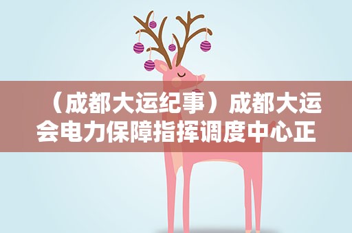 （成都大运纪事）成都大运会电力保障指挥调度中心正式运行