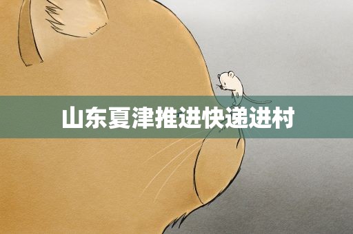 山东夏津推进快递进村