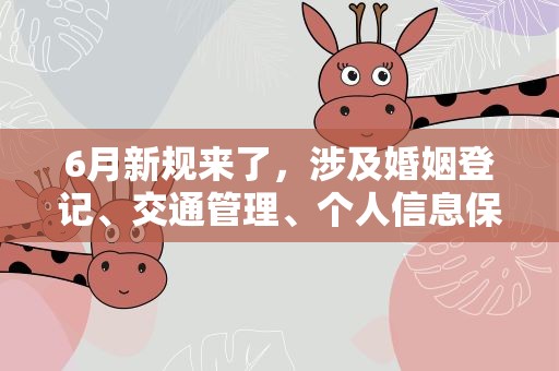 6月新规来了，涉及婚姻登记、交通管理、个人信息保护等方面