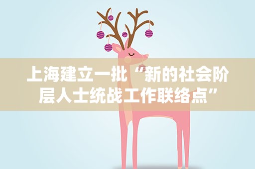 上海建立一批“新的社会阶层人士统战工作联络点”