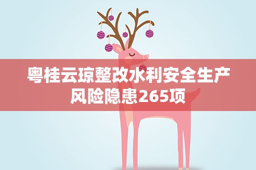 粤桂云琼整改水利安全生产风险隐患265项