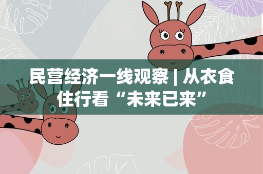 民营经济一线观察 | 从衣食住行看“未来已来”