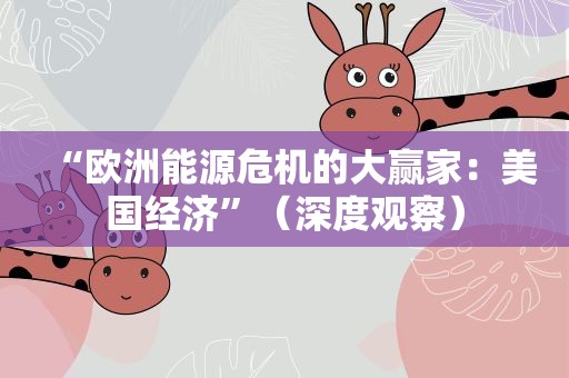 “欧洲能源危机的大赢家：美国经济”（深度观察）