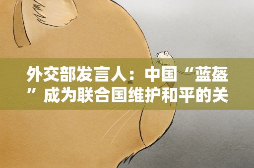 外交部发言人：中国“蓝盔”成为联合国维护和平的关键力量