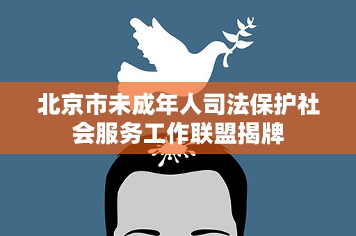 北京市未成年人司法保护社会服务工作联盟揭牌