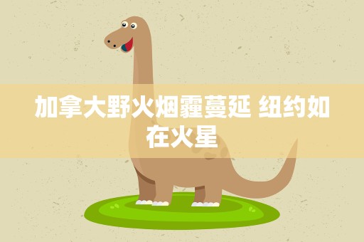 加拿大野火烟霾蔓延 纽约如在火星