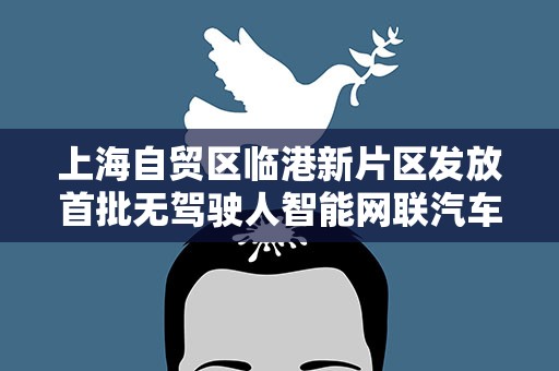 上海自贸区临港新片区发放首批无驾驶人智能网联汽车道路测试牌照