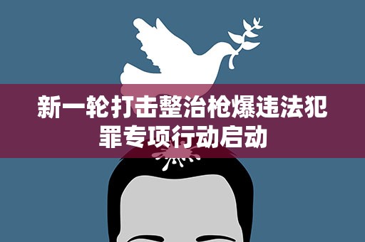 新一轮打击整治枪爆违法犯罪专项行动启动
