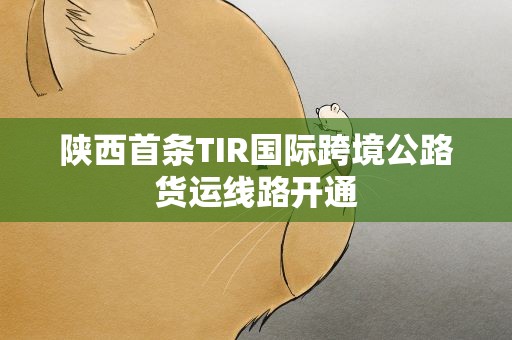 陕西首条TIR国际跨境公路货运线路开通