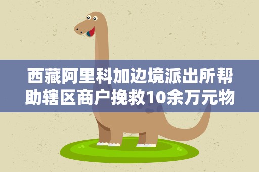 西藏阿里科加边境派出所帮助辖区商户挽救10余万元物资