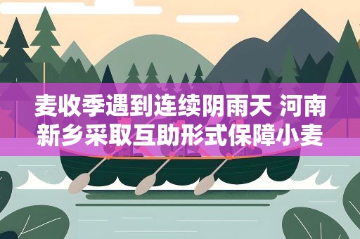 麦收季遇到连续阴雨天 河南新乡采取互助形式保障小麦晾晒