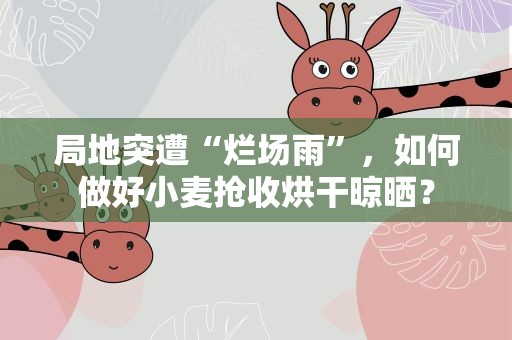 局地突遭“烂场雨”，如何做好小麦抢收烘干晾晒？