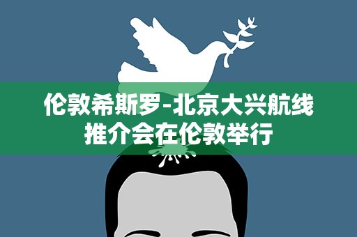 伦敦希斯罗-北京大兴航线推介会在伦敦举行