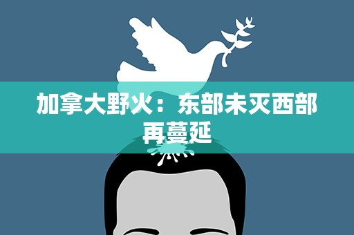 加拿大野火：东部未灭西部再蔓延