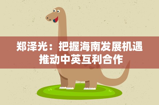 郑泽光：把握海南发展机遇 推动中英互利合作