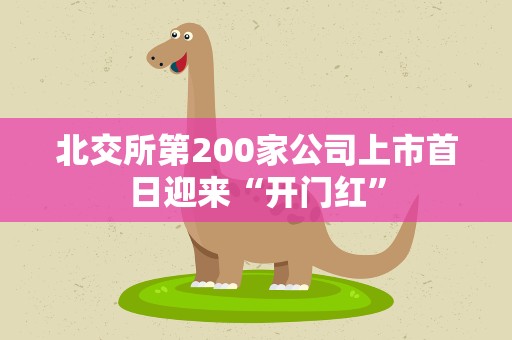 北交所第200家公司上市首日迎来“开门红”