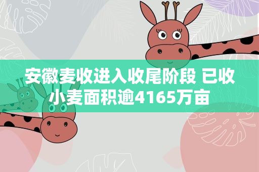 安徽麦收进入收尾阶段 已收小麦面积逾4165万亩