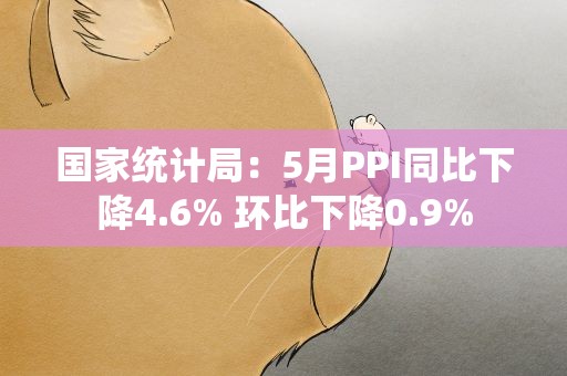 国家统计局：5月PPI同比下降4.6% 环比下降0.9%