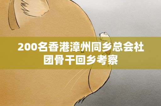 200名香港漳州同乡总会社团骨干回乡考察