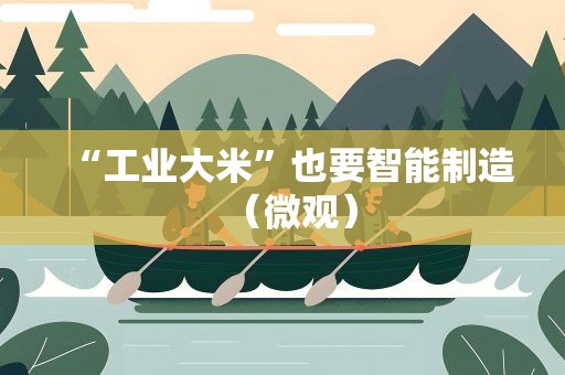 “工业大米”也要智能制造（微观）