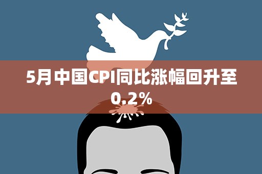 5月中国CPI同比涨幅回升至0.2%