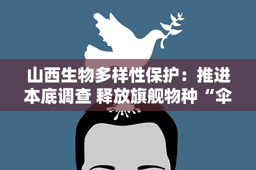 山西生物多样性保护：推进本底调查 释放旗舰物种“伞护效应”