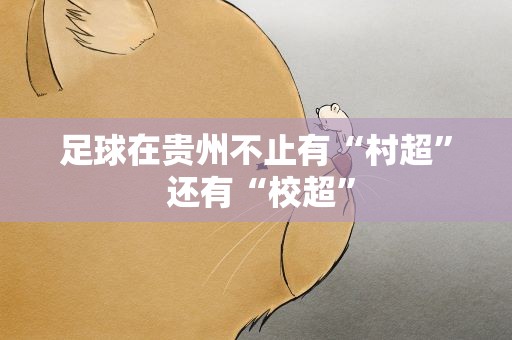 足球在贵州不止有“村超” 还有“校超”