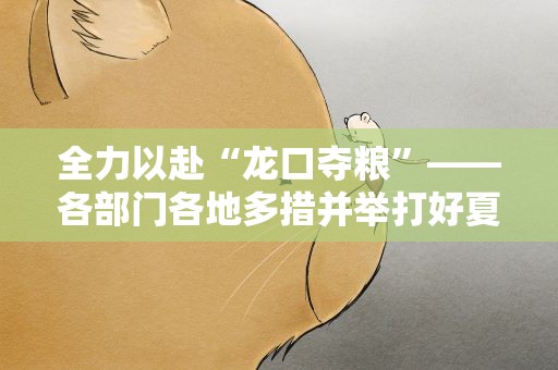 全力以赴“龙口夺粮”——各部门各地多措并举打好夏收硬仗