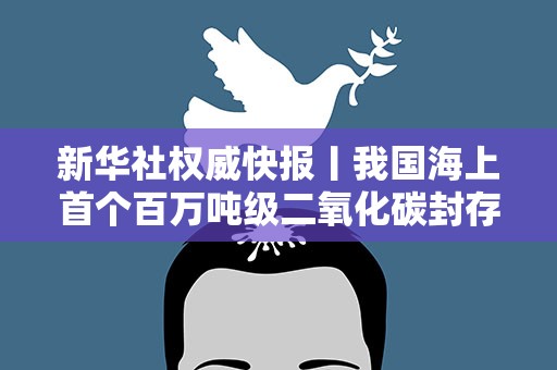 新华社权威快报丨我国海上首个百万吨级二氧化碳封存工程投用