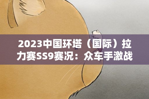 2023中国环塔（国际）拉力赛SS9赛况：众车手激战环塔最美赛段