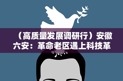 （高质量发展调研行）安徽六安：革命老区遇上科技革命，红色土地绽放产业“金花”
