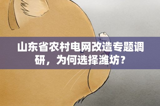 山东省农村电网改造专题调研，为何选择潍坊？