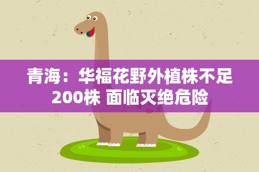 青海：华福花野外植株不足200株 面临灭绝危险